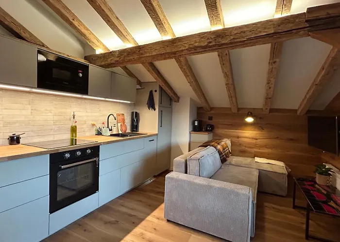 Cosy Avec Vue * Ollon