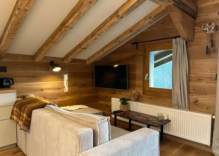 Cosy Avec Vue * Ollon